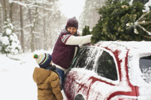 Großer Weihnachtsbaumverkauf